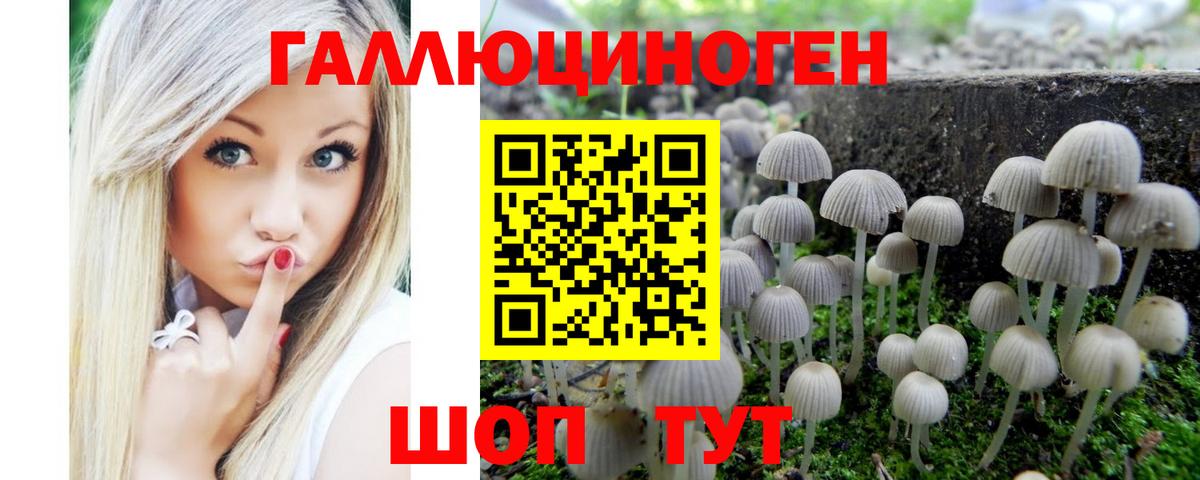 Строитель  Галлюциногенные грибы Cubensis  Псилоцибиновые грибы мухоморы  Вход с VPN 
